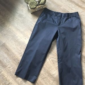 Size 12 Navy Blue Rafaella Capris